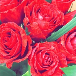 Meet your Posher, Hodan